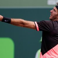 Juan Martin Del Potro