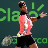 Juan Martin Del Potro4