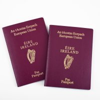Putovnica Irske