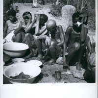 Humanitarna katastrofa u Biafri