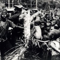 Humanitarna katastrofa u Biafri