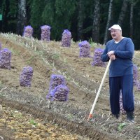 Aleksandar Lukašenko