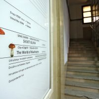 Muzej gljiva u Zagrebu