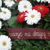 Sjećanje na Hrvoja Ćustića