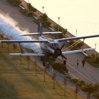 Aviozaprašivanje komaraca u Osijeku prilikom njihove najezde