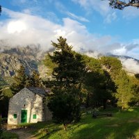 Makarska, Park šuma Osejava