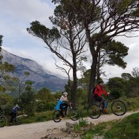 Makarska, Park šuma Osejava
