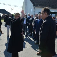 Kolinda Grabar Kitarović, Damir Bajs