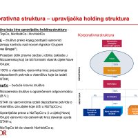 Sadržaj načelnog sporazuma o ključnim elementima nagodbe