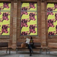 Andy Warhol, izložba u Barceloni 2017.