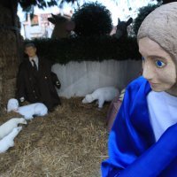 Josip Mateša postavlja jaslice u Vodicama