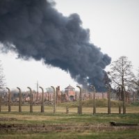 Židovski učenici iz cijelog svijeta u logorima na March of the living