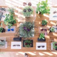 Borba by Envy My Specs