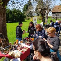 Proljetno buđenje - Jaškovo