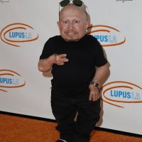Verne Troyer