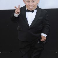 Verne Troyer