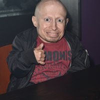 Verne Troyer