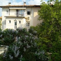 Nokia 7 Plus fotografije