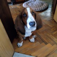 Nokia 7 Plus fotografije