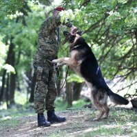 Šuma na Pantovčaku postat će park