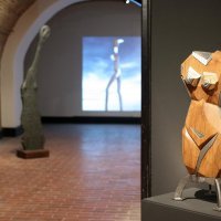 Izložba Stephana Lupina