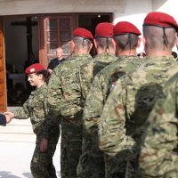 Prisega pripadnika 3. mehanizirane bojne "Pauci", Gardijske mehanizirane brigade