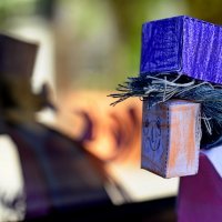 Filip Bečić (OŠ Veruda)