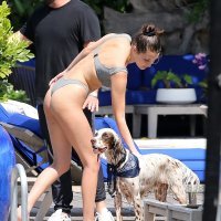 Bella Hadid