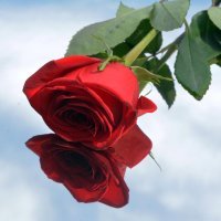 Državni vrh u Okučanima na obljetnici vojno-redarstvene operacije Bljesak