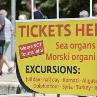 Morske orgulje postale "morski organi"