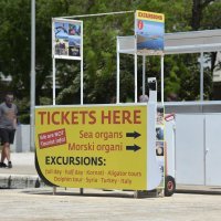 Morske orgulje postale "morski organi"