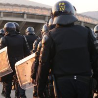 Interventna policija