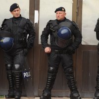 Interventna policija