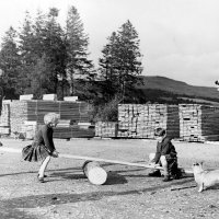 Kraljica Elizabeta II sa šalom