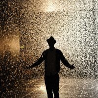 Rain Room