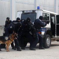 Policijsko oružje