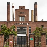 Guinness