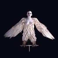 Harpya, r. Raoul Servais