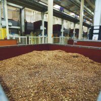 Tvornica cigareta u Kanfanaru