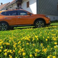 Nissan X Trail
