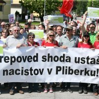 Prosvjed aktivista protiv komemoracije na Bleiburškom polju