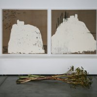 Saša Šekoranja 'Ogledna soba'