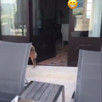 Vedran Ćorluka i Franka Batelić u Francuskoj