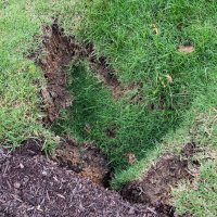 Vrtača na travnjaku Bijele kuće