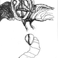 Biserka Baretić, Himere Samoće