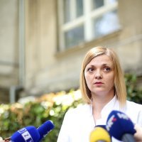 Vesna Višekruna Vučina