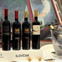 Udruga Škrlet Moslavina