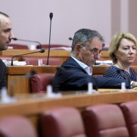 Boris Milošević, Milorad Pupovac