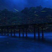 Fotografije Keija Nomiyame