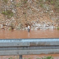 Poplava na Istarskom ipsilonu